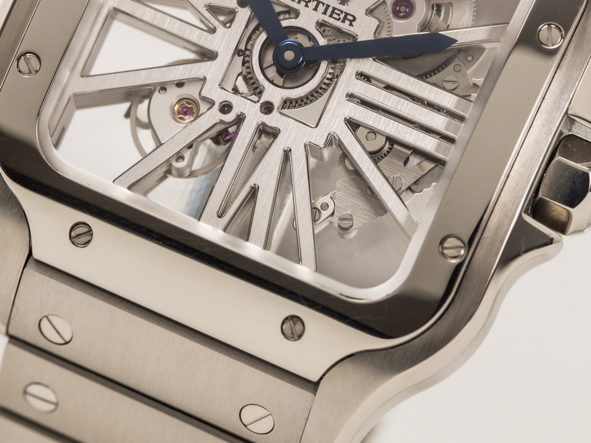 Cartier Cartier Santos Skeleton